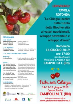 La ciliegia locale: dalla tutela della biodiversità ai valori nutrizionali