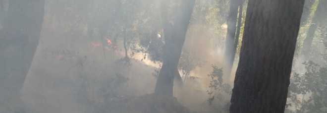 Cronaca: ancora boschi in fiamme in Irpinia