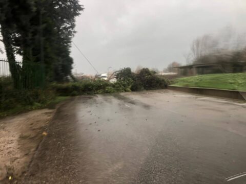 Valle Caudina: albero cade sulla strada, interrotto il collegamento all’asse attrezzato