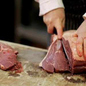 Peste suina: sequestrate 10 tonnellate di carne