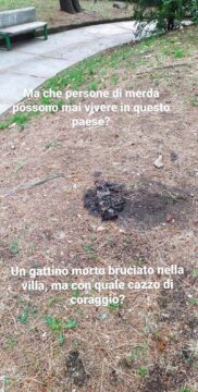 Montesarchio: gatto bruciato in villa comunale