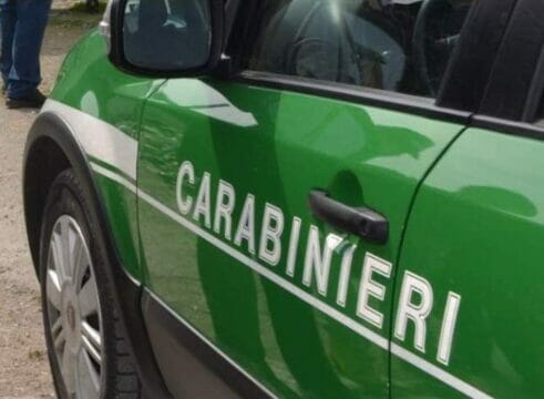 Getta i rifiuti nell’alveo di un torrente, i carabinieri forestali lo multano di 600 euro